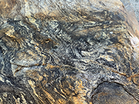 A dark striped boulder with crenulated bands of biotite schist. 